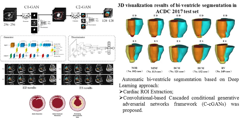 Medical Image Analysis.jpg