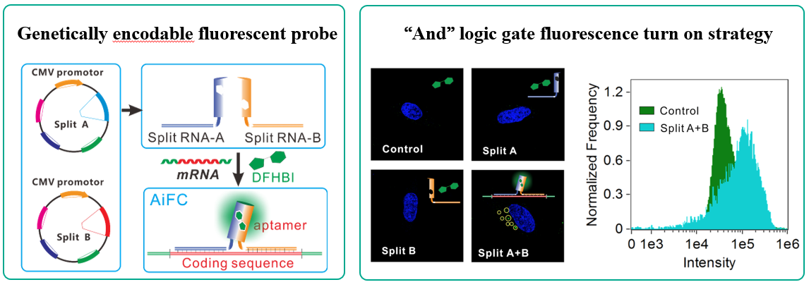 Angew-En.jpg Angew-En.jpg