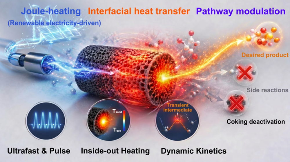 ACSCatalysis_2026.png