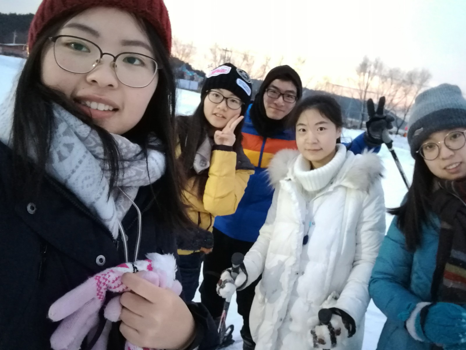 IMG_20170106_164546.jpg