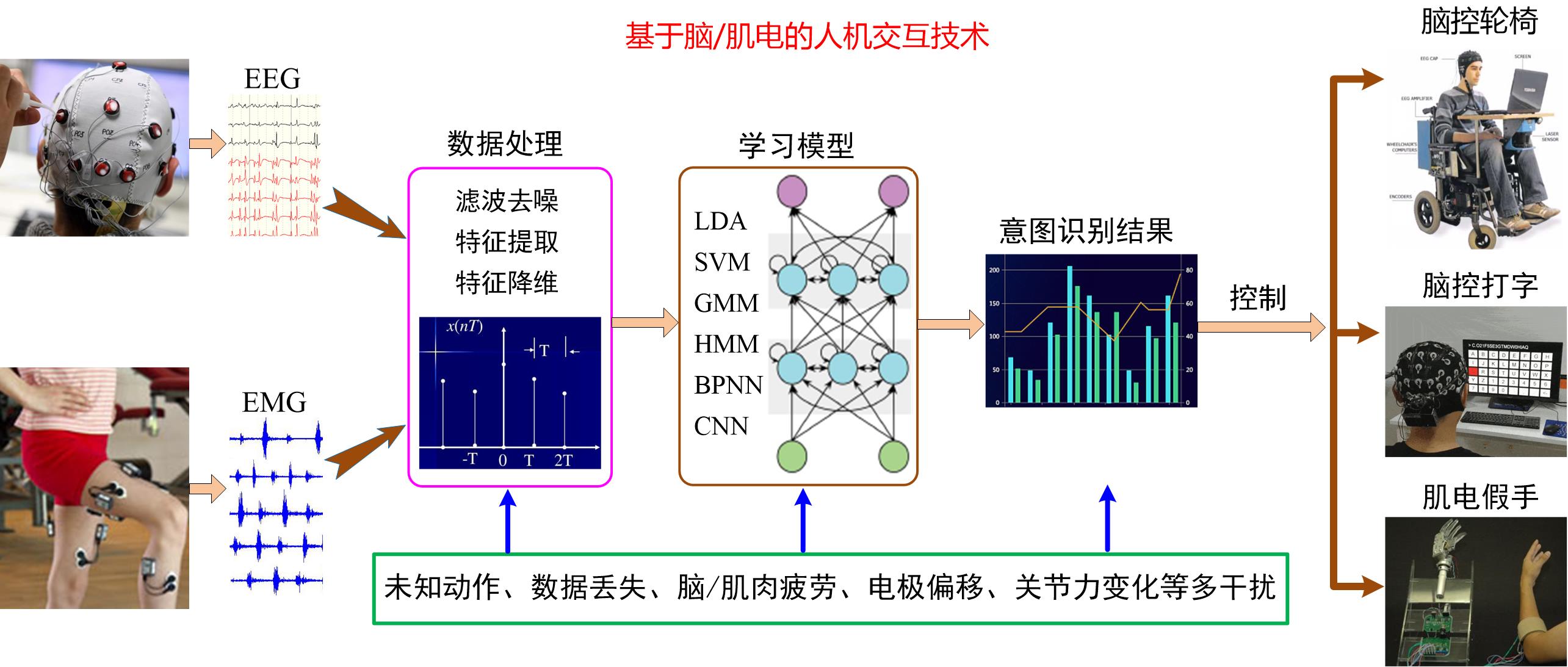 生物电信号.jpg