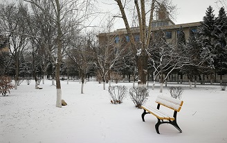 IMG_20180108_085151.jpg