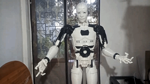 仿人型机器人2022762012363.gif