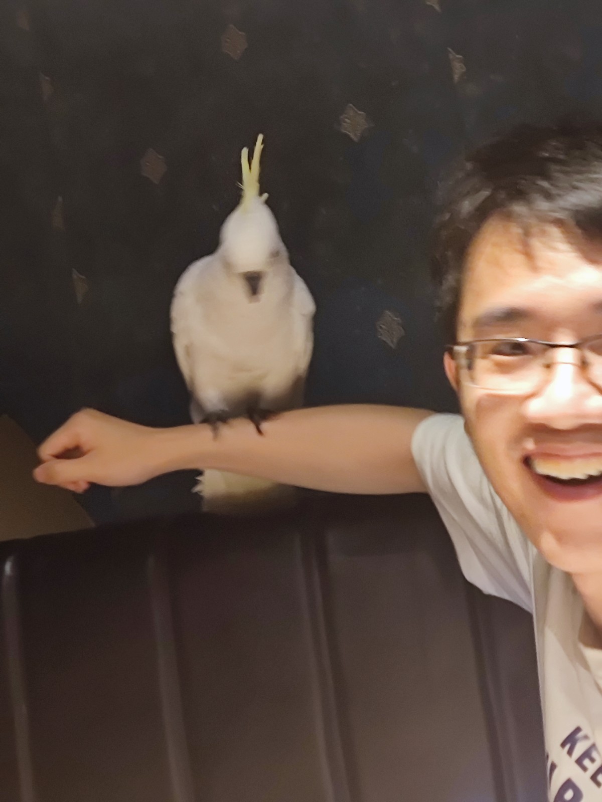 微信图片_20240429170610.jpg